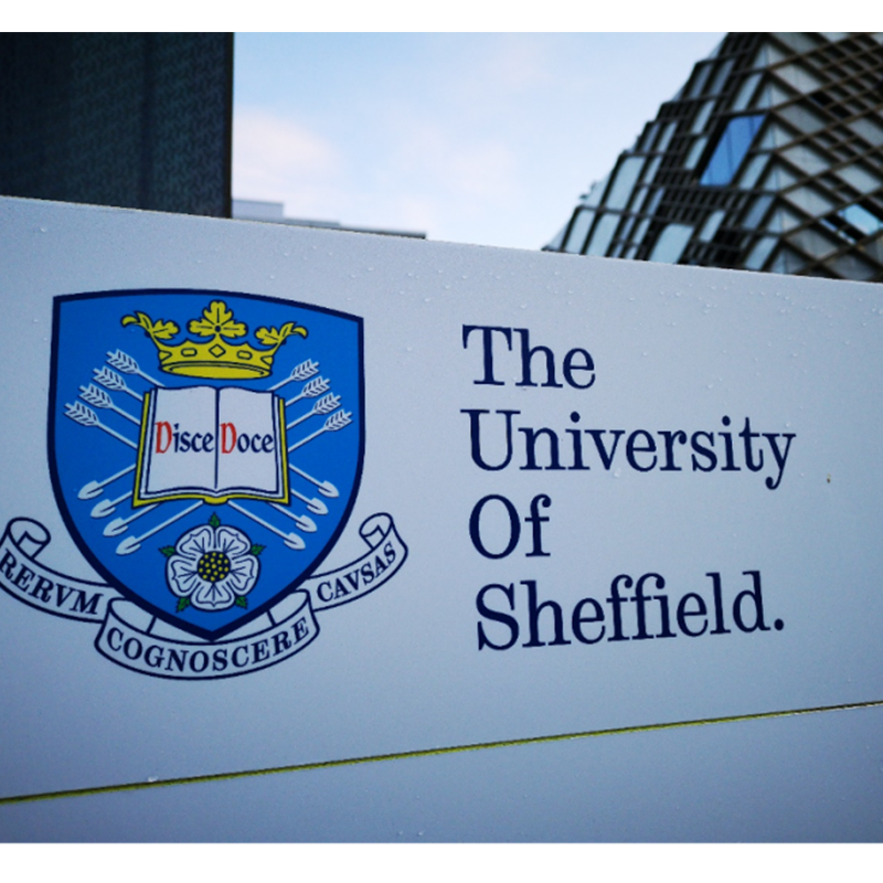 Sheffield Üniversitesi İngiltere'nin en büyük yeşil hidrojen üreticisi olmaya hazırlanıyor